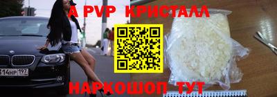 стафф Донской