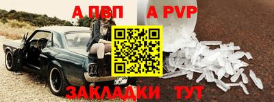 стафф Донской