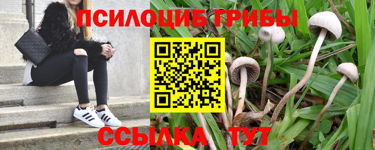 Можайск  Псилоцибиновые грибы Cubensis  Галлюциногенные грибы Cubensis  Вход с VPN 