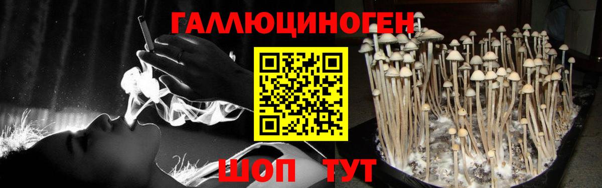 Галлюциногенные грибы Magic Shrooms Можайск